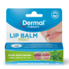 Dermal Therapy Mint Lip Balm